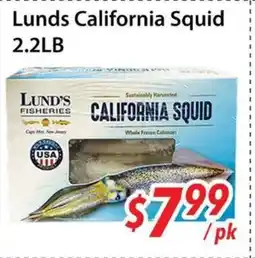 Bestco Food Mart Lunds California Squid offer