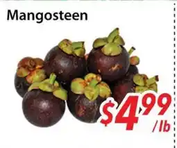 Bestco Food Mart Mangosteen offer