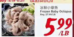 United Supermarket Frozen Baby Octopus offer