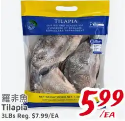United Supermarket Tilapia offer