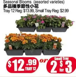 Yuan Ming Supermarket Seasonal Blooms offer