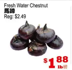 Yuan Ming Supermarket Fresh Water Chestnut offer