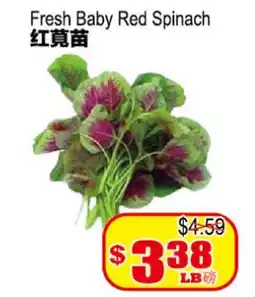 Yuan Ming Supermarket Fresh Baby Red Spinach offer