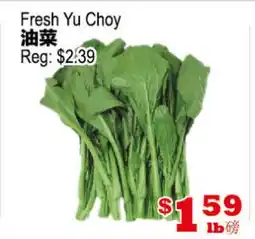 Yuan Ming Supermarket Fresh Yu Choy offer