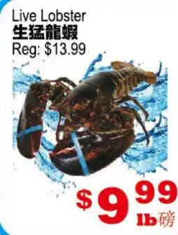 Yuan Ming Supermarket Live Lobster offer