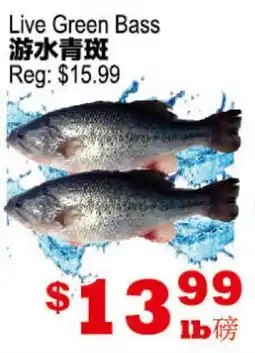 Yuan Ming Supermarket Live Green Bass offer