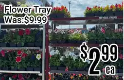 Nations Fresh Foods Flower Tray offer