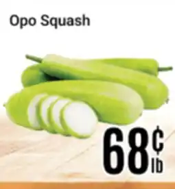 Nations Fresh Foods Opo Squash offer