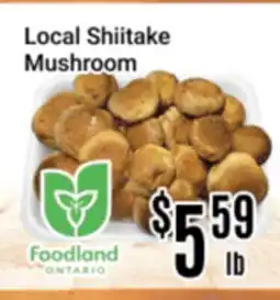 Nations Fresh Foods Local Shiitake Mushroom offer