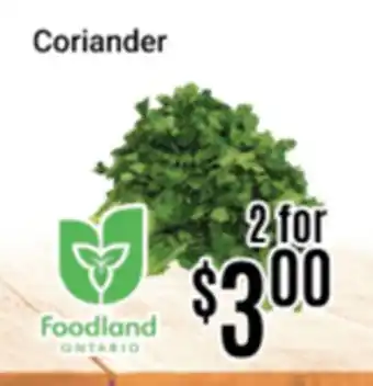 Nations Fresh Foods Coriander offer