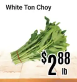 Nations Fresh Foods White Ton Choy offer