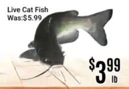 Nations Fresh Foods Live Cat Fish offer