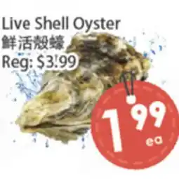 Fresh Palace Supermarket Live Shell Oyster offer