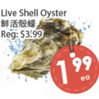 Fresh Palace Supermarket Live Shell Oyster offer