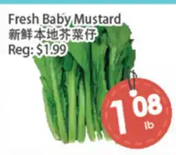 Fresh Palace Supermarket Fresh Baby Mustard offer