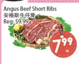 Fresh Palace Supermarket Angus Beef Short Ribs offer