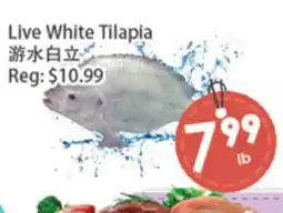 Fresh Palace Supermarket Live White Tilapia offer