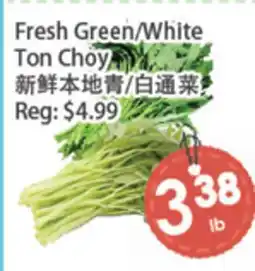 Fresh Palace Supermarket Fresh Green/White Ton Choy offer