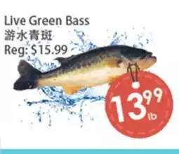 Fresh Palace Supermarket Live Green Bass offer