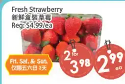 Fresh Palace Supermarket Fresh Strawberry offer