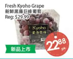 Fresh Palace Supermarket Fresh Kyoho Grape offer