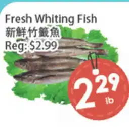 Fresh Palace Supermarket Fresh Whiting Fish offer