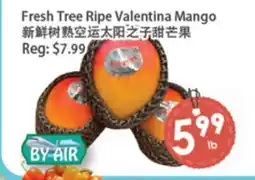 Fresh Palace Supermarket Fresh Tree Ripe Valentina Mango offer