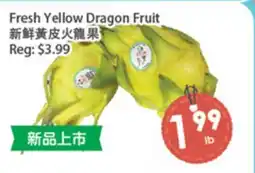 Fresh Palace Supermarket Fresh Yellow Dragon Fruit offer
