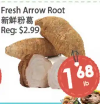 Fresh Palace Supermarket Fresh Arrow Root offer