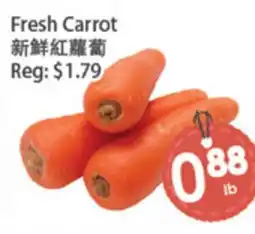Fresh Palace Supermarket Fresh Carrot offer