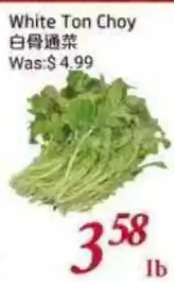 Tone Tai Supermarket White Ton Choy offer