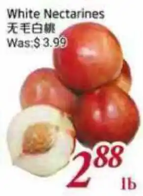 Tone Tai Supermarket White Nectarines offer