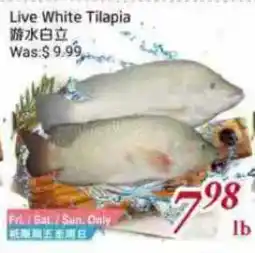Tone Tai Supermarket Live White Tilapia offer