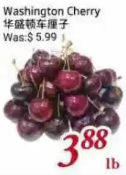 Tone Tai Supermarket Washington Cherry offer