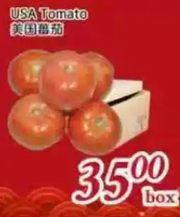 Tone Tai Supermarket USA Tomato offer