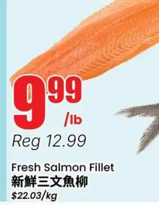Terra Foodmart Fresh Salmon Fillet offer