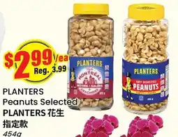 Terra Foodmart PLANTERS Peanuts Selected offer