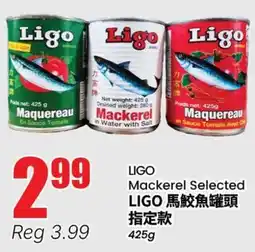 Terra Foodmart LIGO Mackerel Selected offer