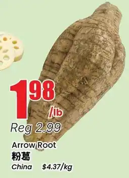 Terra Foodmart Arrow Root offer