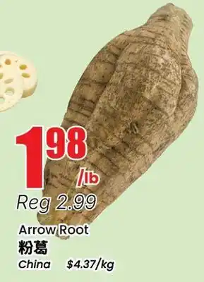 Terra Foodmart Arrow Root offer