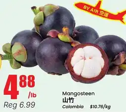 Terra Foodmart Mangosteen offer