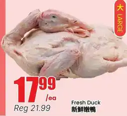Terra Foodmart Fresh Duck offer