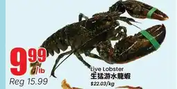 Terra Foodmart Live Lobster offer