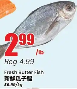 Terra Foodmart Fresh Butter Fish offer