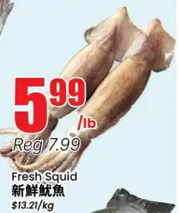 Terra Foodmart Fresh Squid offer