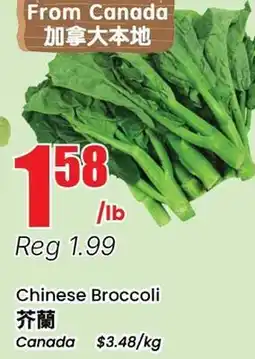 Terra Foodmart Chinese Broccoli offer