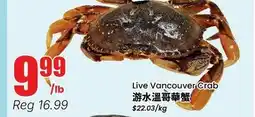 Terra Foodmart Live Vancouver Crab offer