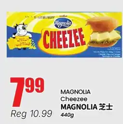 Terra Foodmart MAGNOLIA Cheezee offer