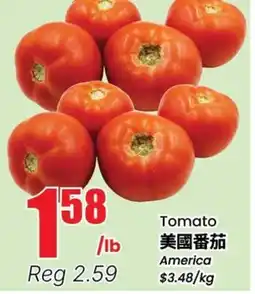 Terra Foodmart Tomato offer