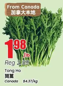 Terra Foodmart Tong Ho offer